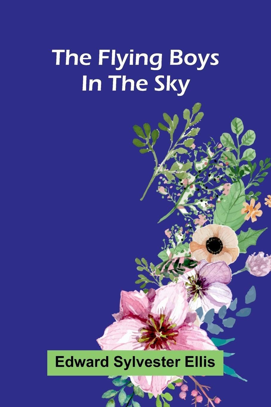 The Flying Boys in the Sky Contemporary literature