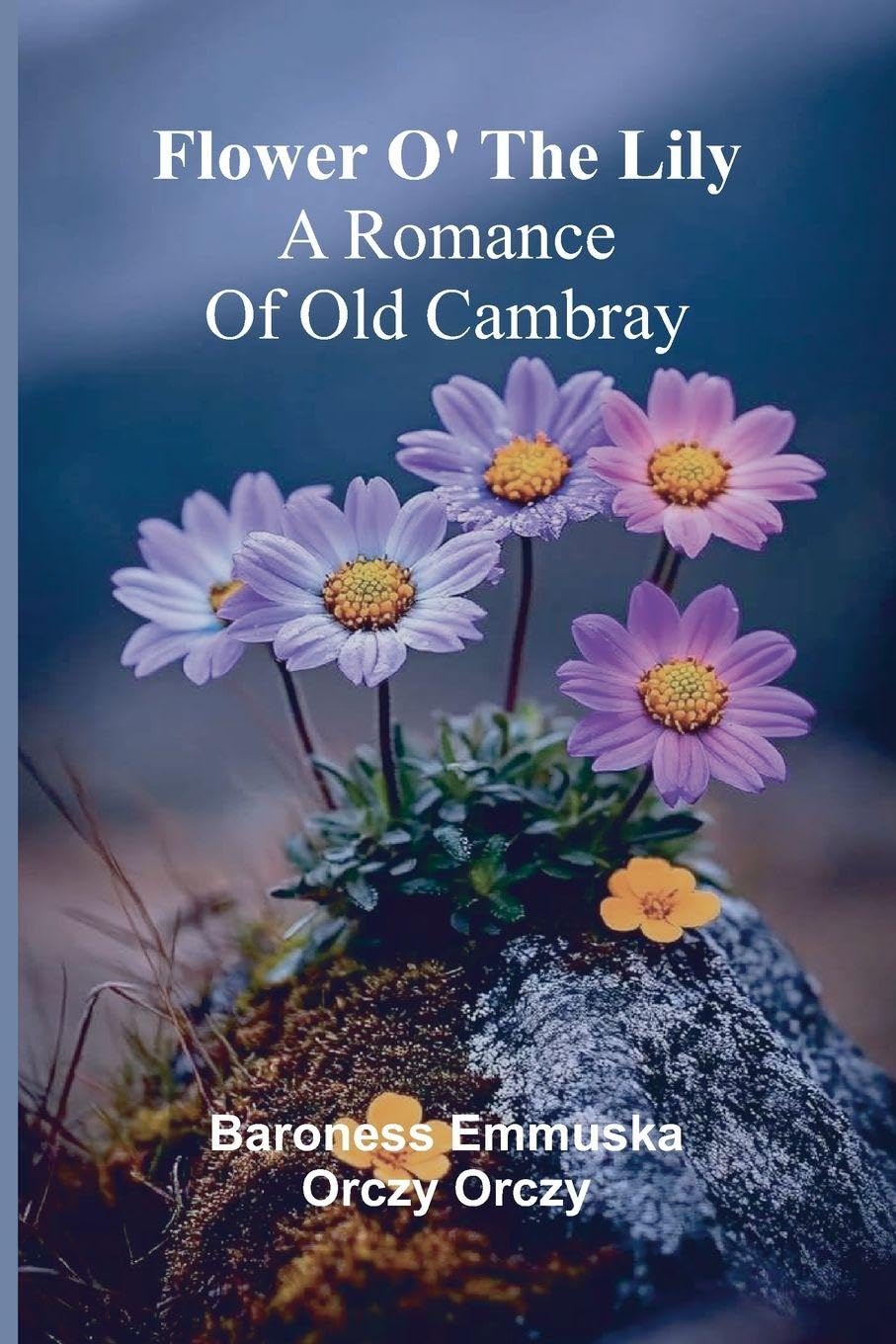Flower o' the lily Historical Fiction