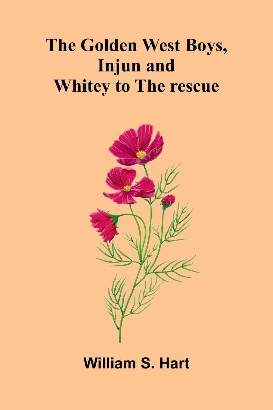 The Golden West Boys, Injun And Whitey To The Rescue Contemporary literature