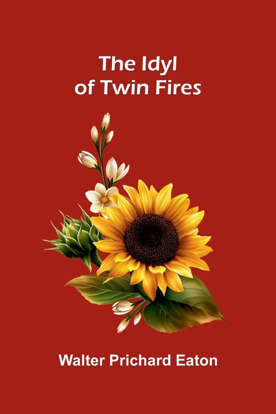 The Idyl Of Twin Fires Contemporary literature