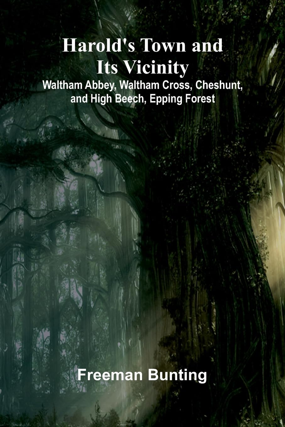 Harold'S Town And Its Vicinity; Waltham Abbey, Waltham Cross, Cheshunt, And High Beech, Epping Forest Leisure, Home & Garden
