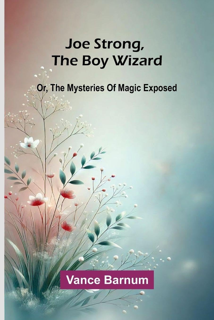 Joe Strong, The Boy Wizard; Or, The Mysteries Of Magic Exposed Contemporary literature