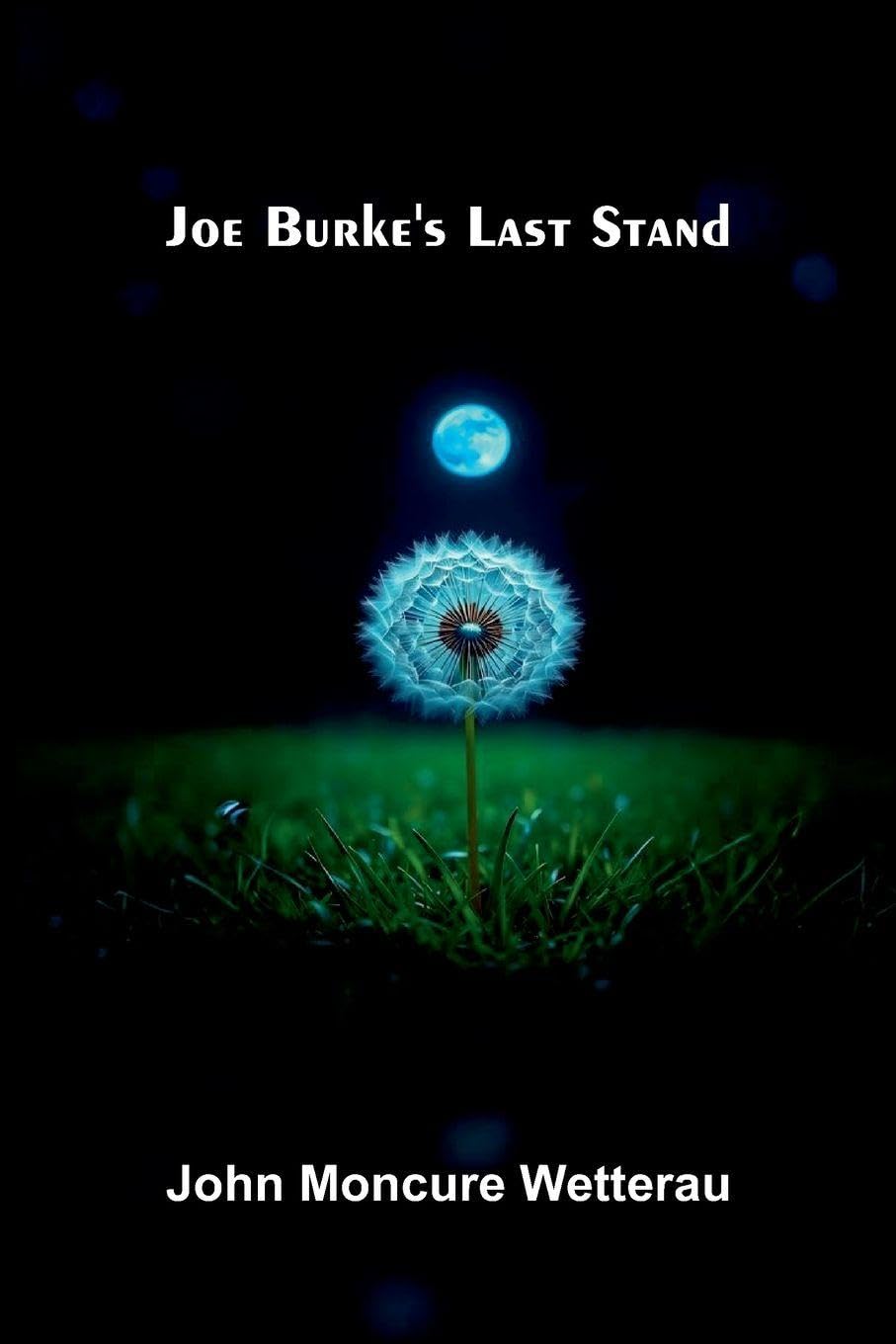 Joe Burke's Last Stand Contemporary literature