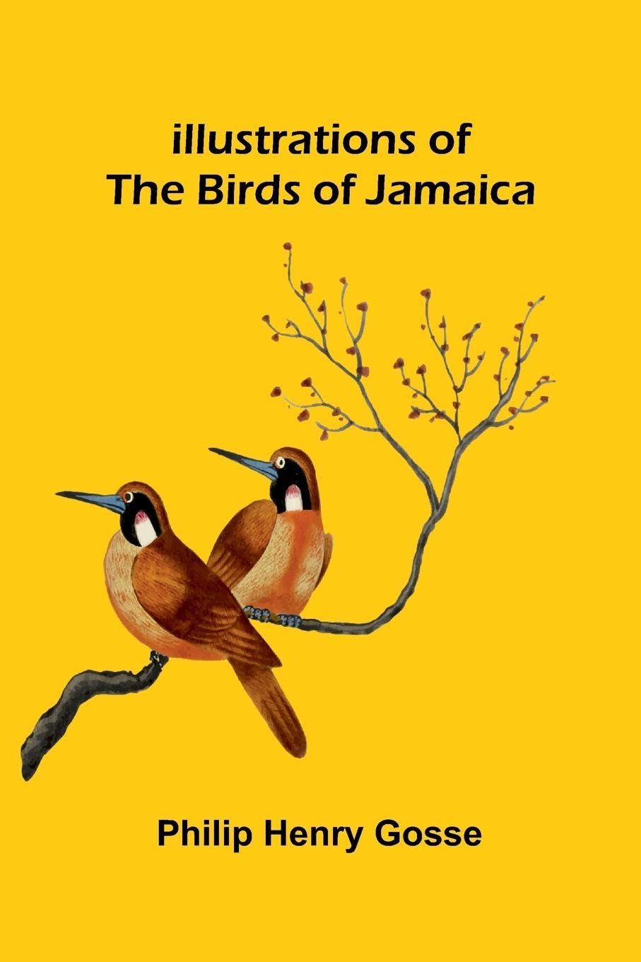 Illustrations Of The Birds Of Jamaica Film, Art & Culture