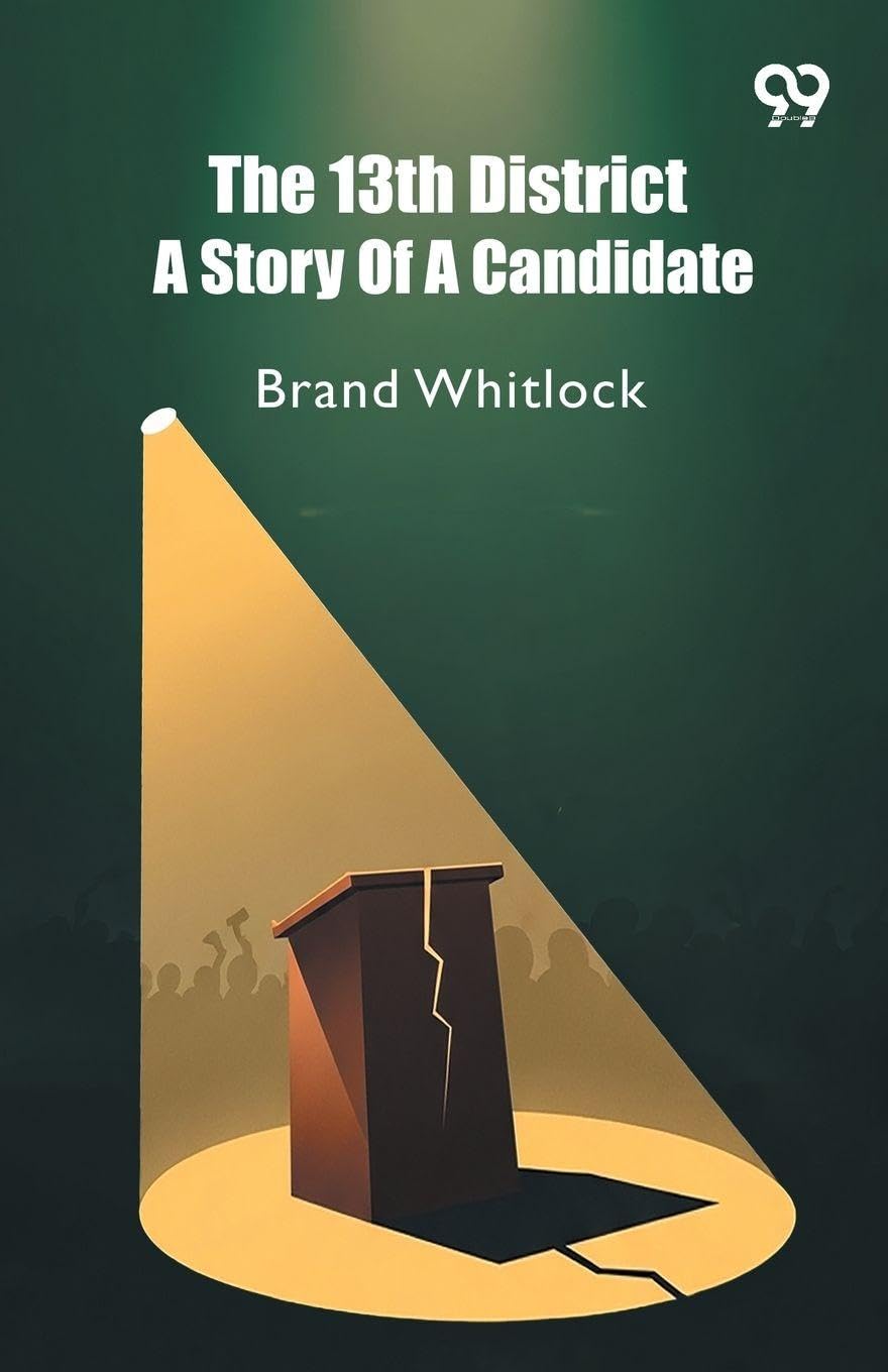 The 13th District A Story Of A Candidate Contemporary literature