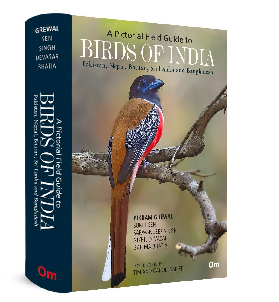 Birds of India Mathematics
