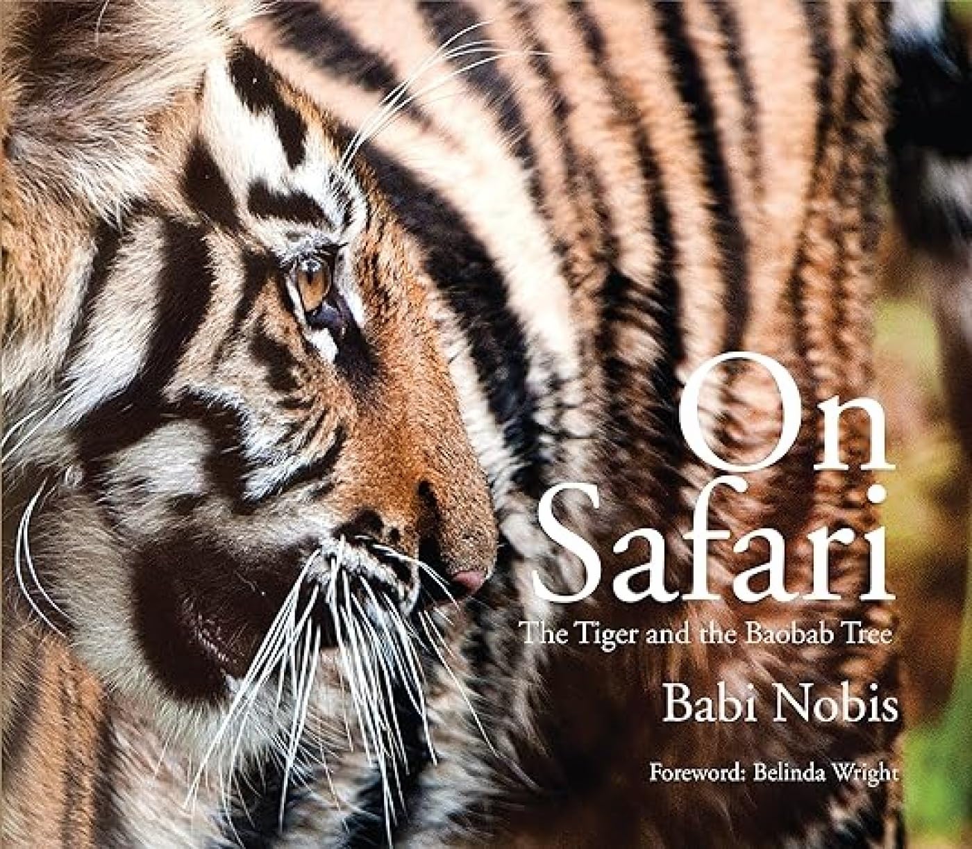 On Safari the Tiger and the Baobab Tree Leisure, Home & Garden