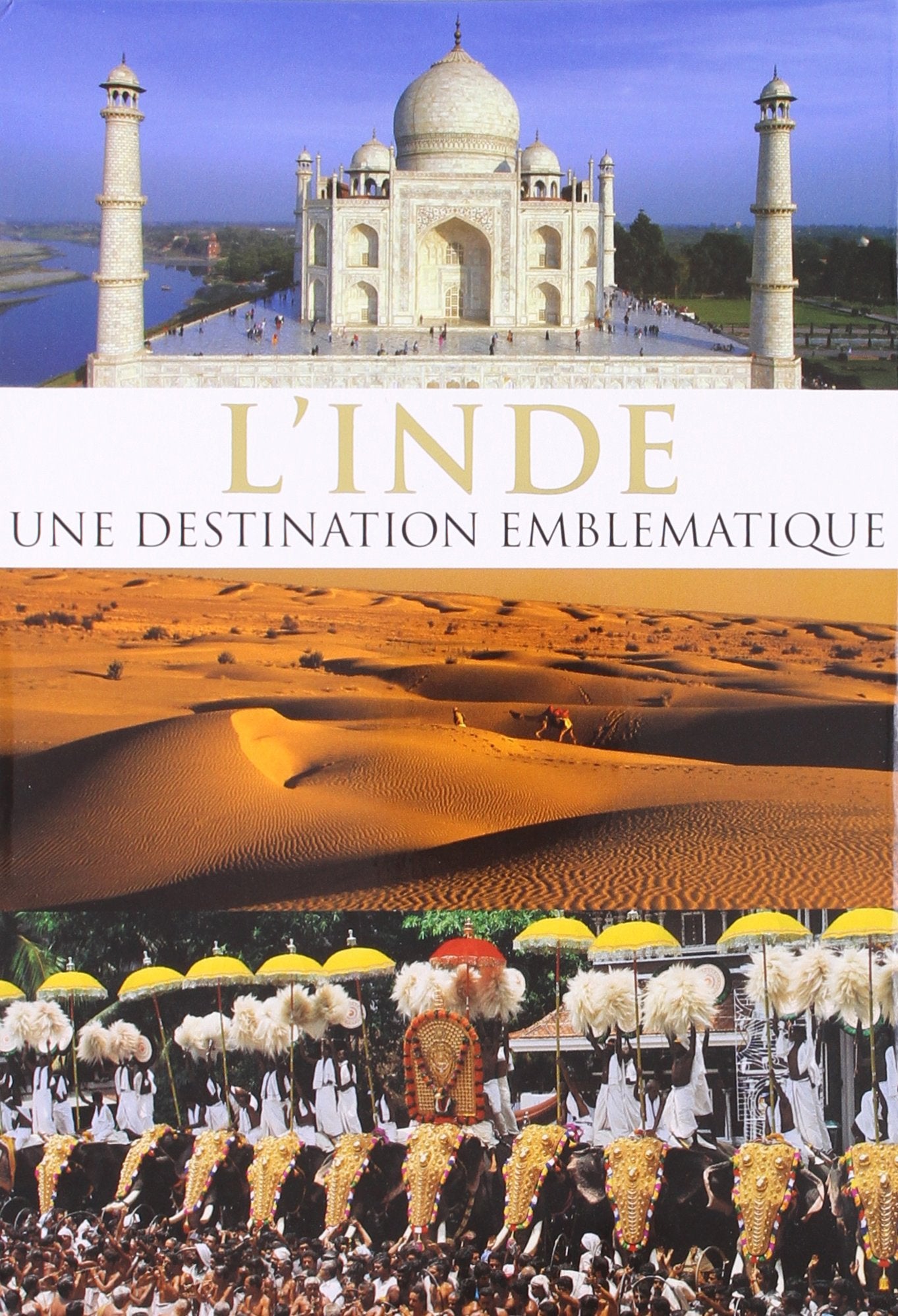 INDIA AN ICONIC DESTINATION (FRENCH) REETA AND RUPINDER KHULLAR REETA AND RUPINDER KHULLAR book