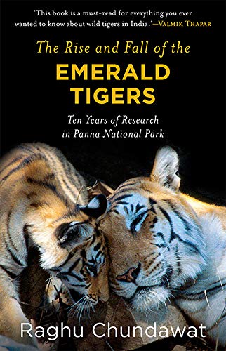 The Rise and Fall of the Emerald Tigers: Ten Years of Research in Panna National Park Mathematics