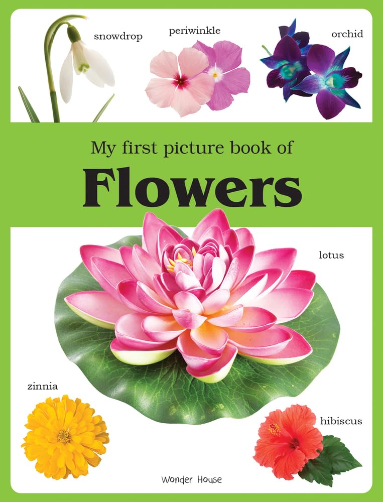 My First Book of Flowers Reading Aloud & Learning to Read