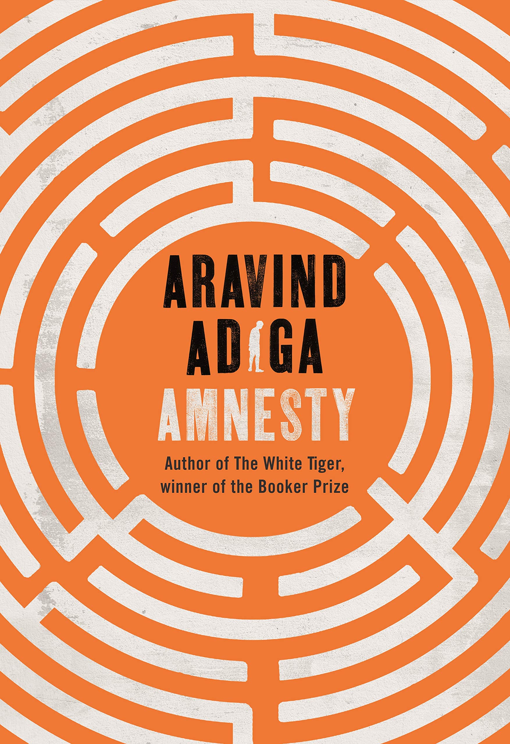 Amnesty: Man Booker Award winning author of The White Tiger book