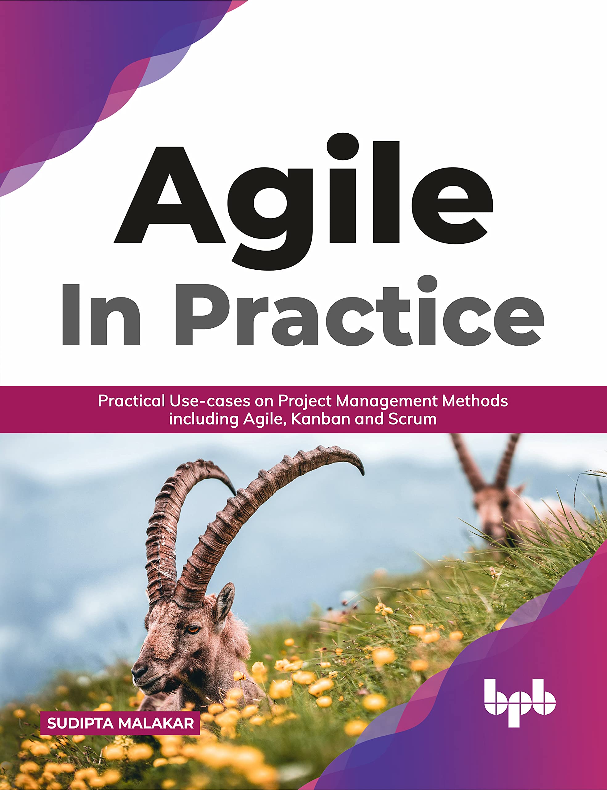 AGILE in Practice: Practical Use-cases on Project Management Methods including Agile, Kanban and Scrum (English Edition) Computer Science