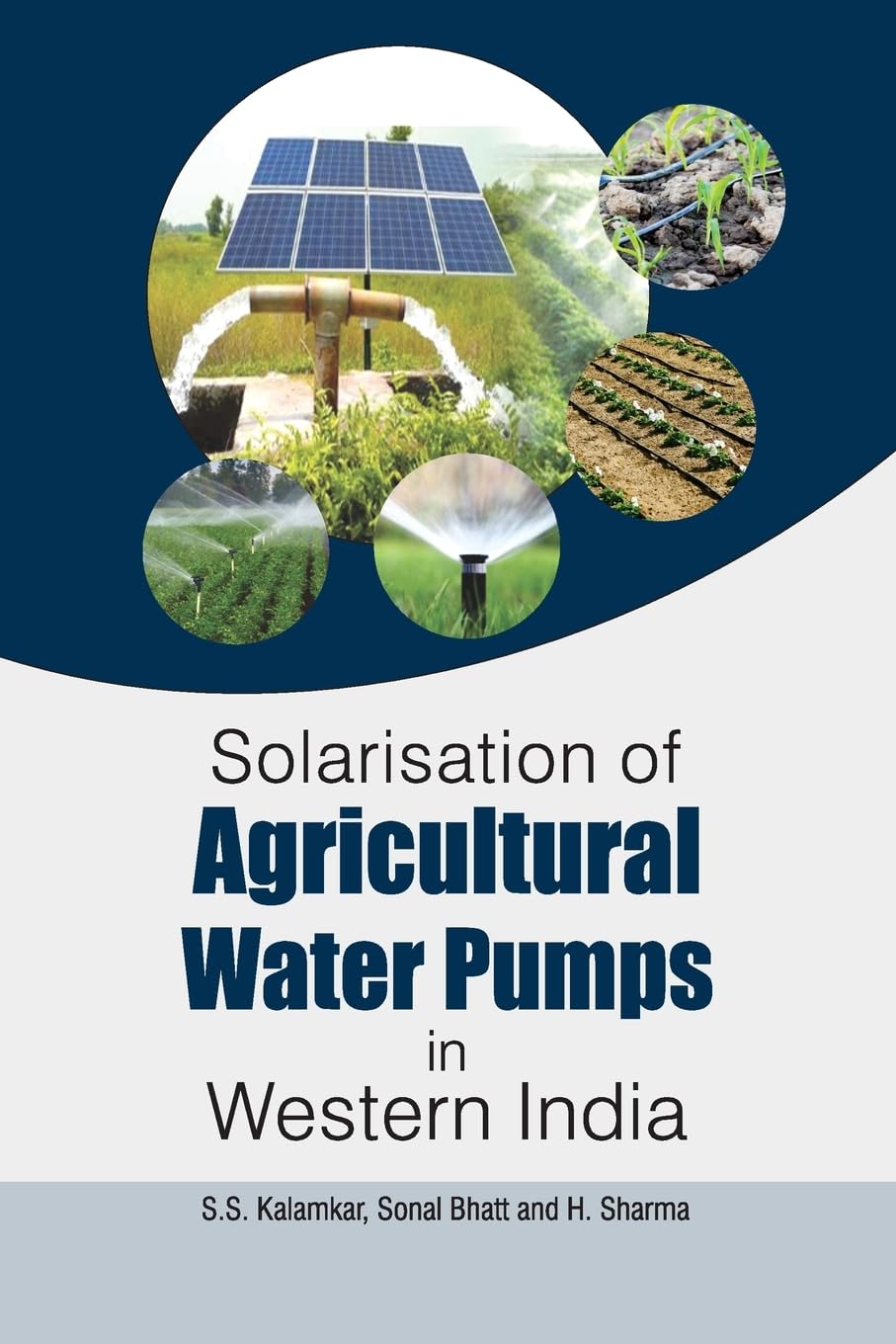 Solarisation of Agricultural Water Pumps in Western India Business, Finance & Career