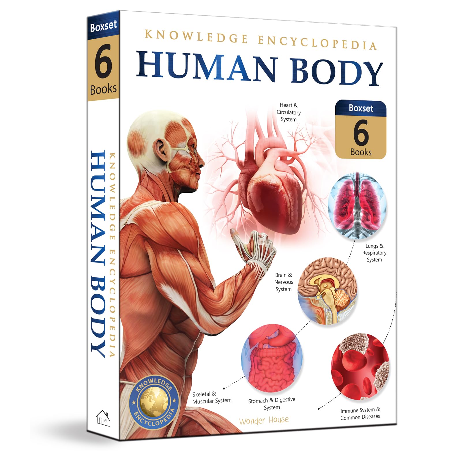 Human Body Set: Knowledge Encyclopedia for Children Reference Books