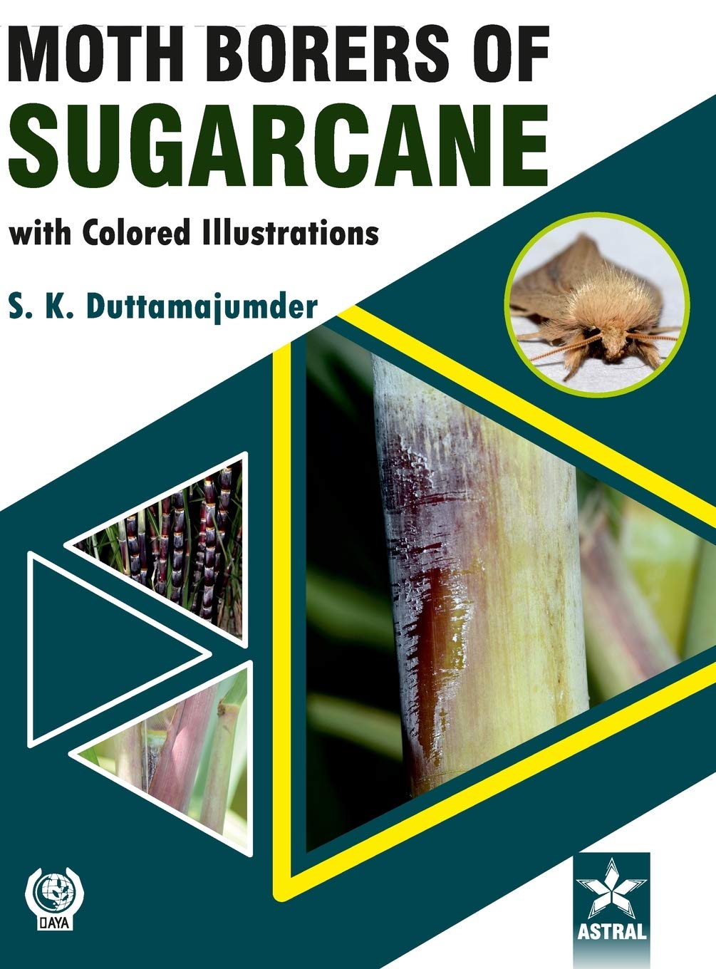 Moth Borers of Sugarcane with Colored IIIustrations Natural Sciences