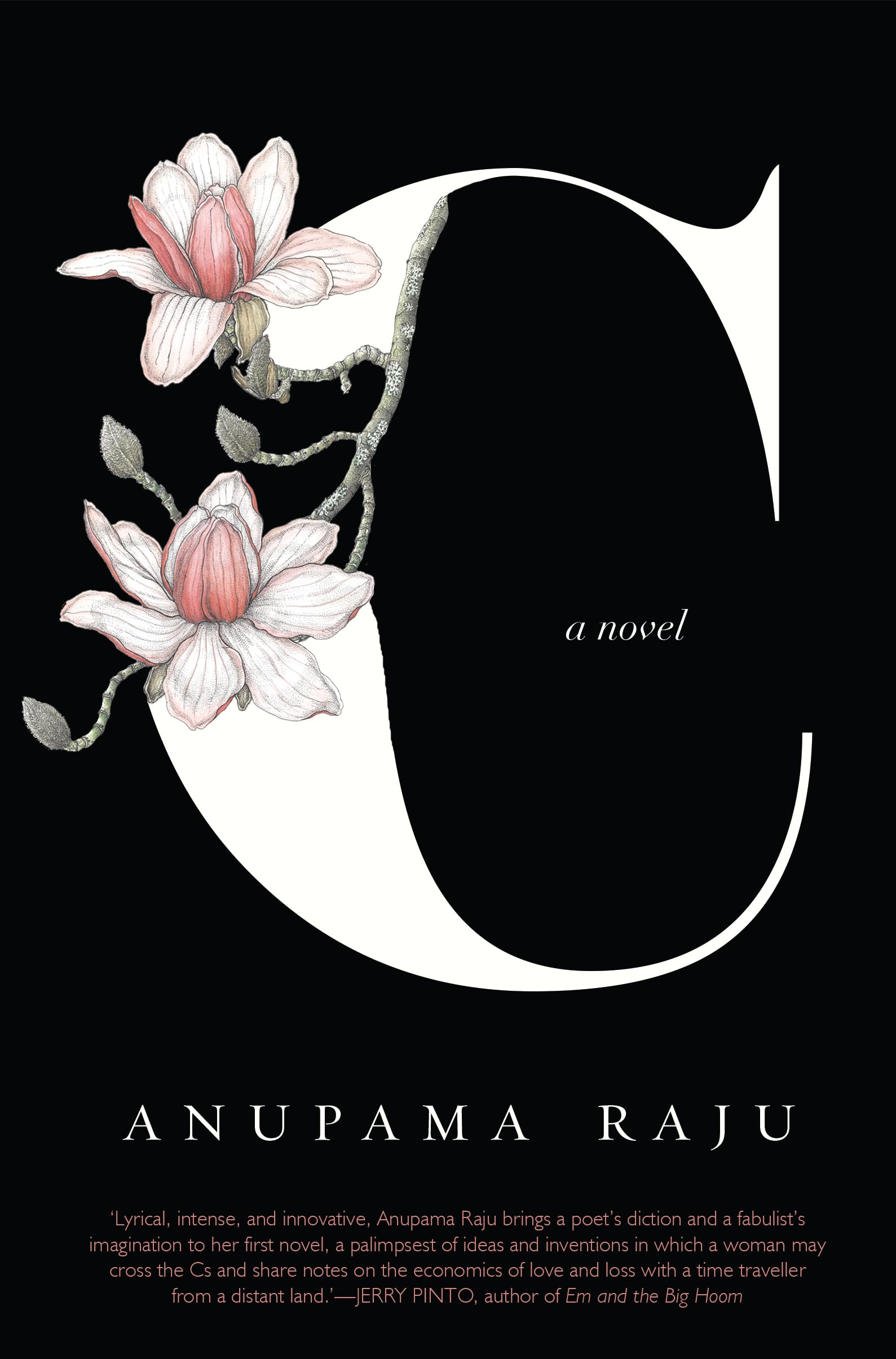 C - A Novel Contemporary literature Books