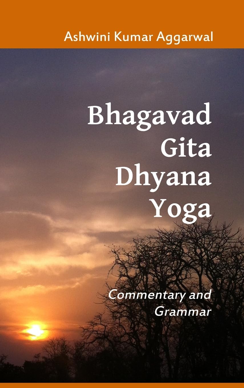 Bhagavad Gita Dhyana Yoga Lifestyle