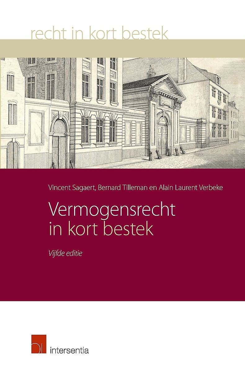 Vermogensrecht in kort bestek: goederen- en contractenrecht book