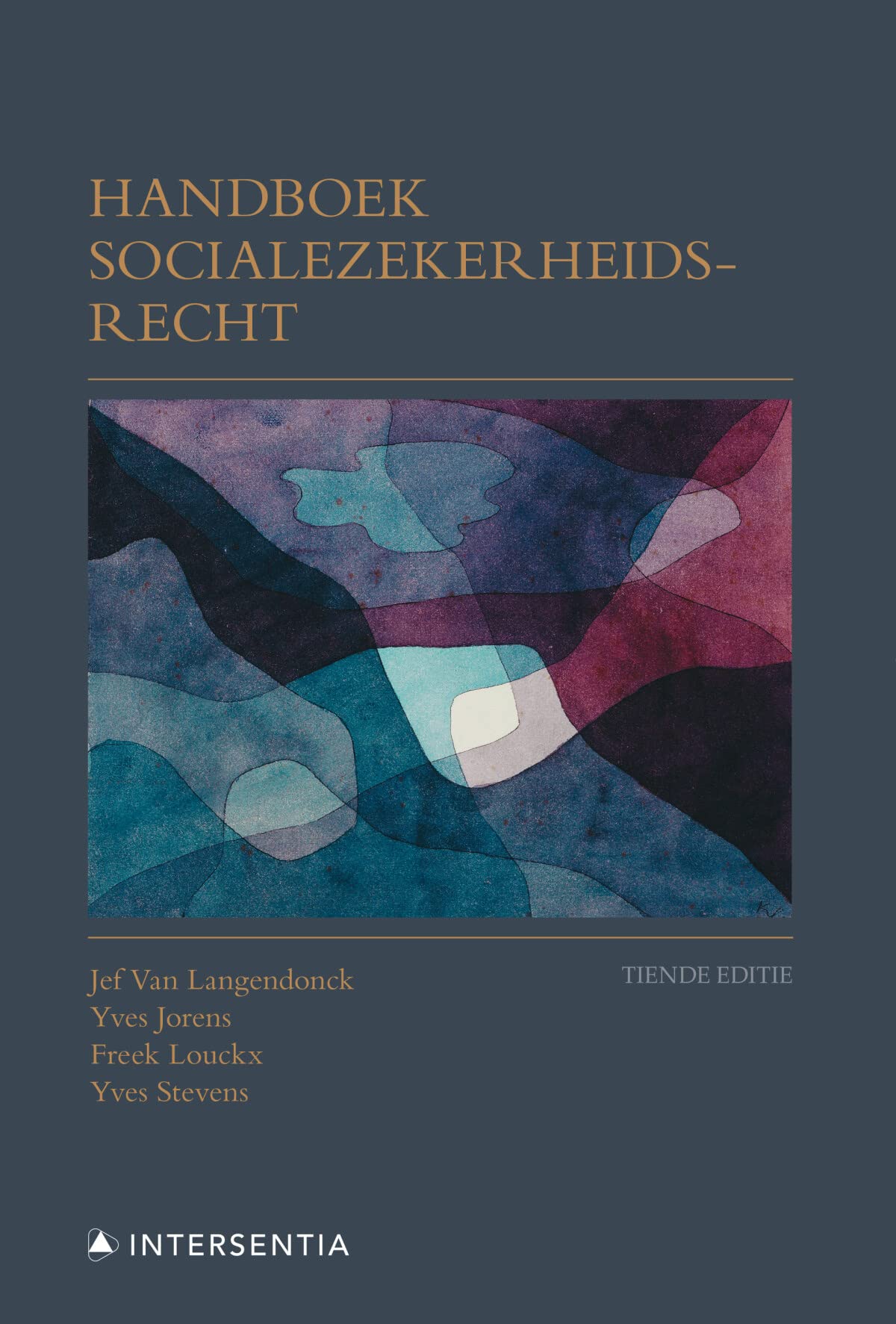 Handboek socialezekerheidsrecht (tiende editie) - paperback book