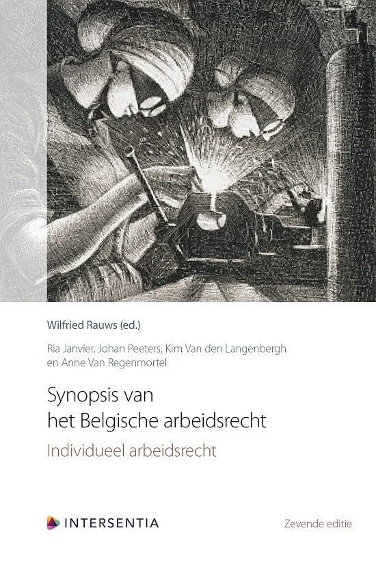 Synopsis van het Belgische arbeidsrecht: individueel arbeidsrecht book