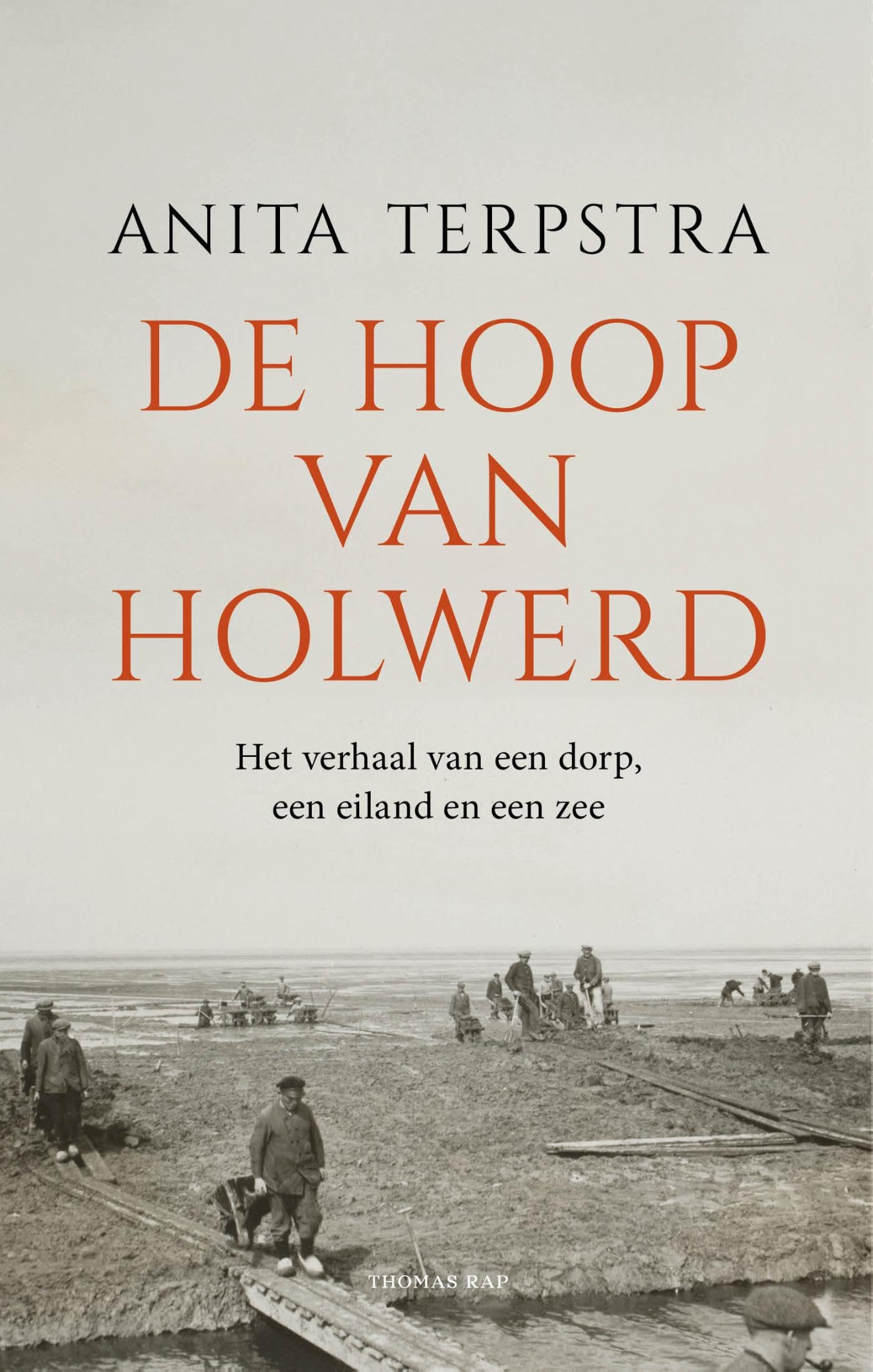 De hoop van Holwerd: Het verhaal van een dorp, een eiland en een zee book