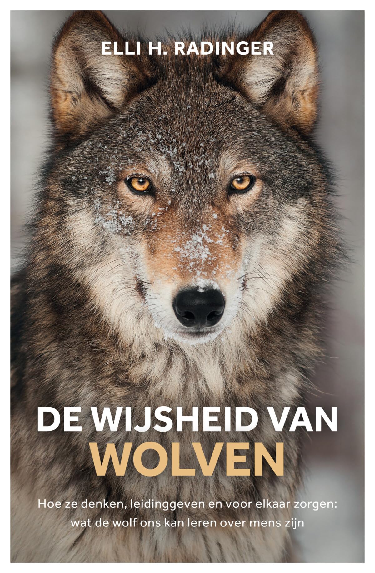 De wijsheid van wolven: hoe ze denken, leidinggeven en voor elkaar zorgen : wat de wolf ons kan leren over mens zijn Business, Finance & Career