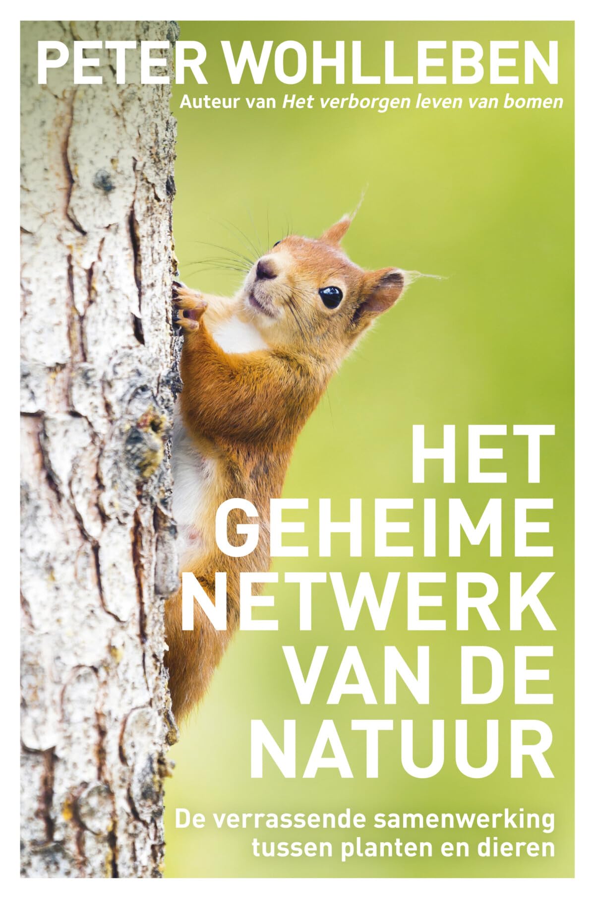 Het geheime netwerk van de natuur: de verrassende samenwerking tussen planten en dieren Geology & Geography