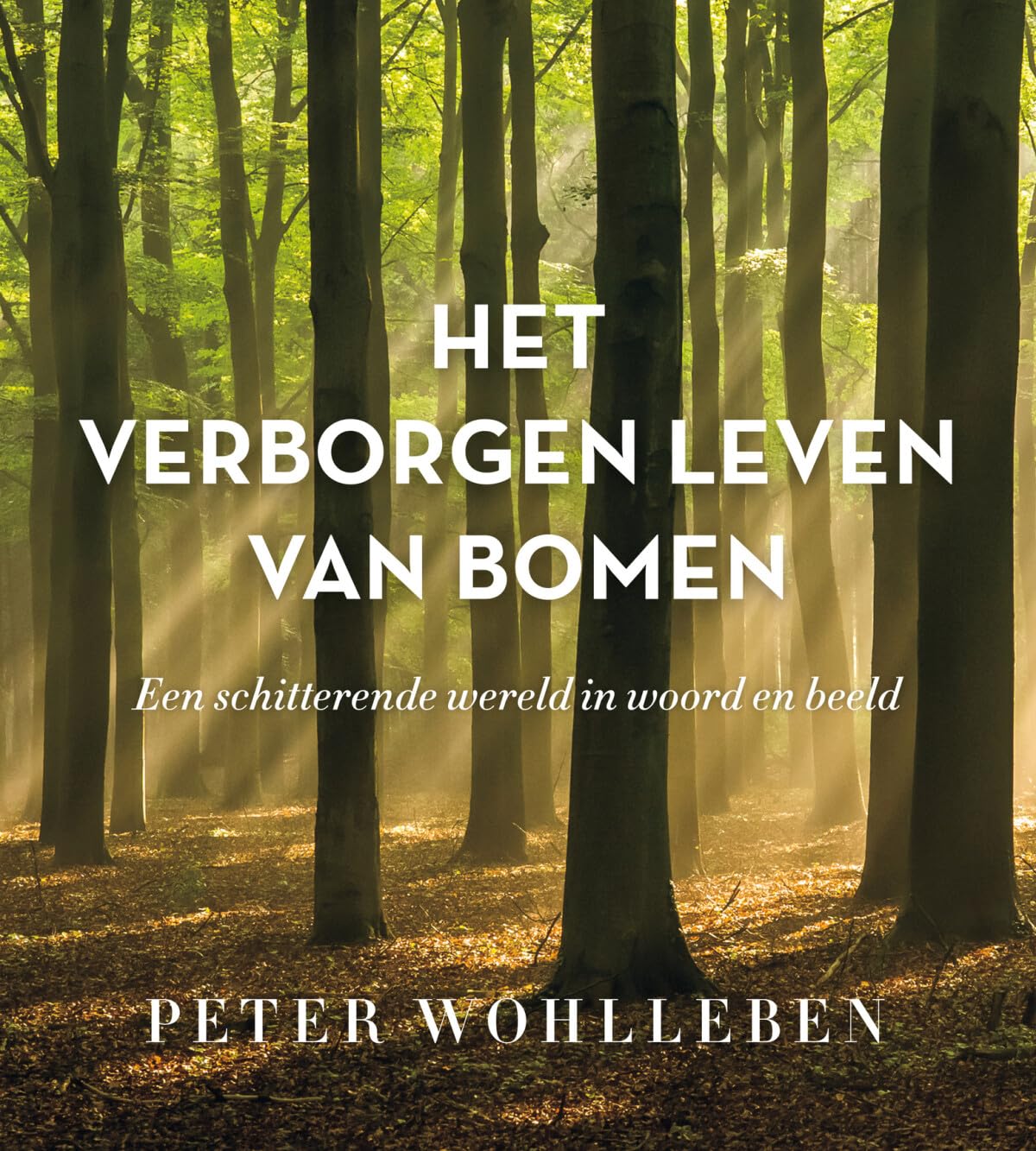 Het verborgen leven van bomen: een schitterende wereld in woord en beeld Geology & Geography