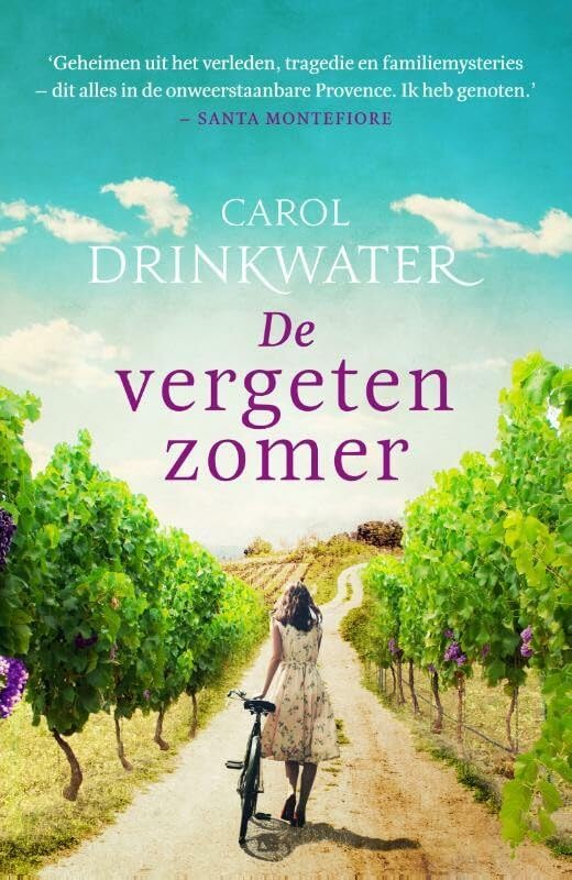 De vergeten zomer book
