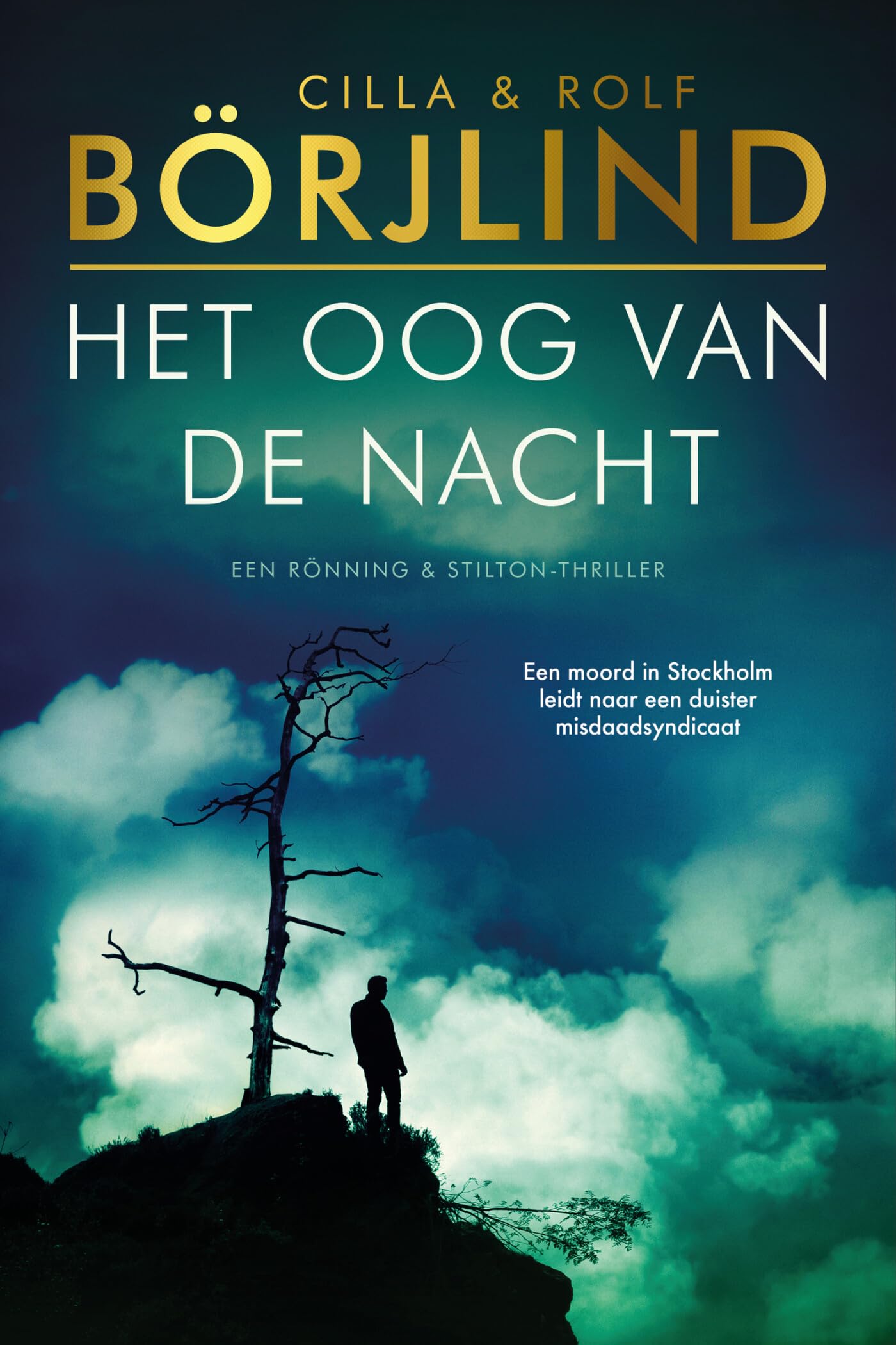 Het oog van de nacht: Rönning & Stilton 8 (Rönning & Stilton serie, 8) Action & Adventure