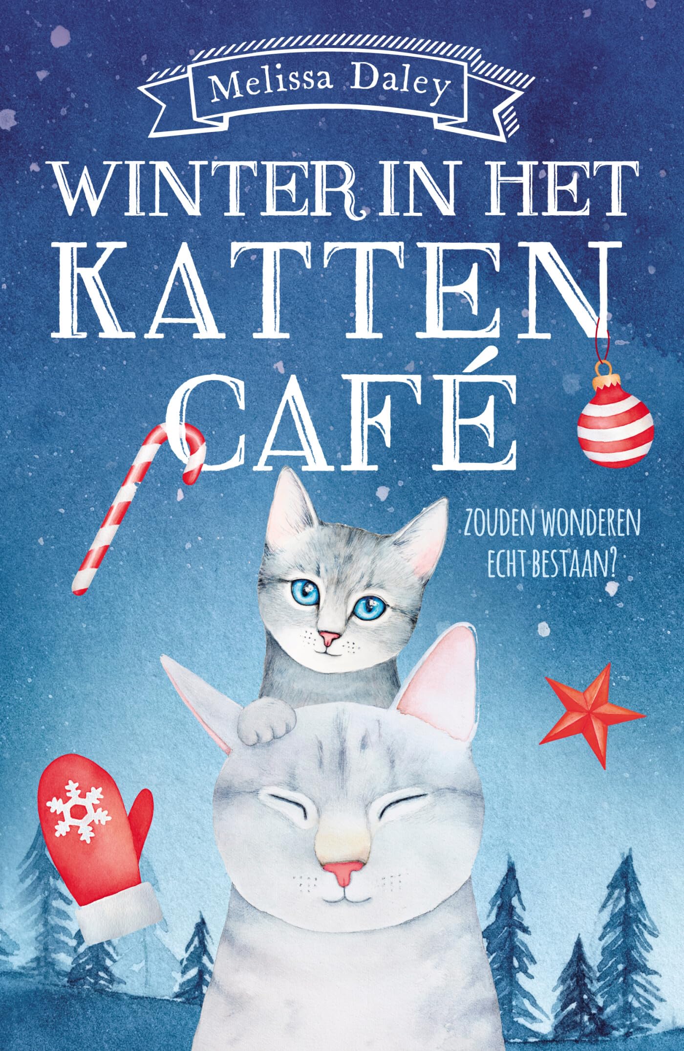Winter in het kattencafé book