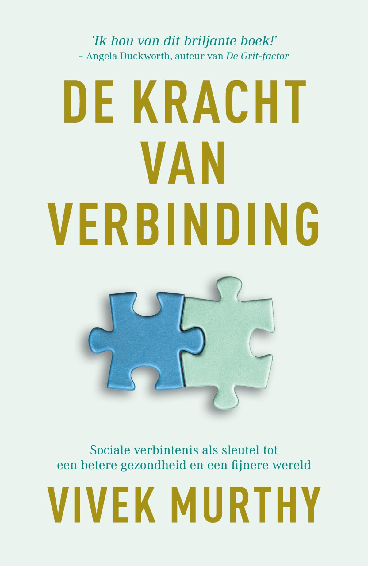 De kracht van verbinding: sociale verbintenis als sleutel tot een betere gezondheid en een fijnere wereld book