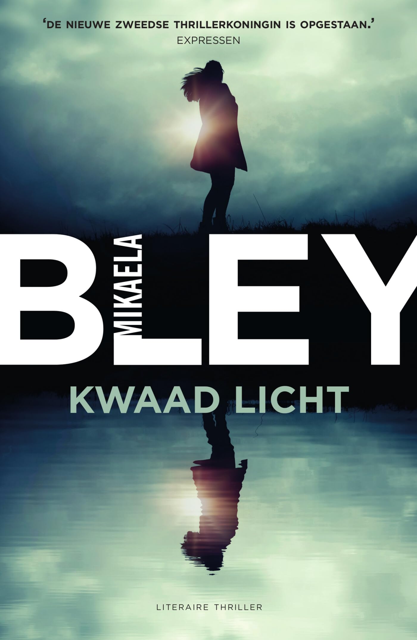 Kwaad licht (Ellen Tamm, 3) Action & Adventure