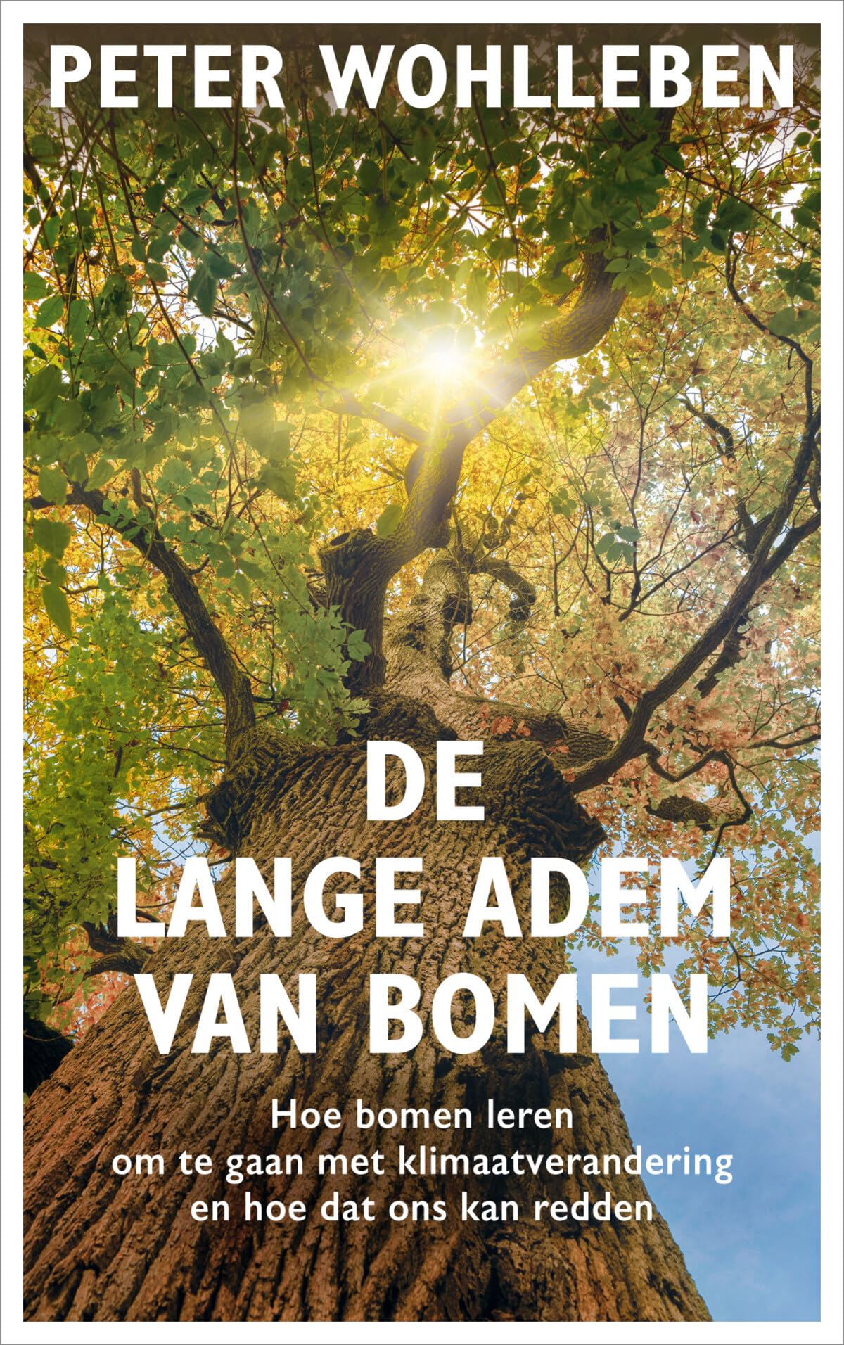 De lange adem van bomen: hoe bomen leren om te gaan met klimaatverandering en hoe dat ons kan redden Law