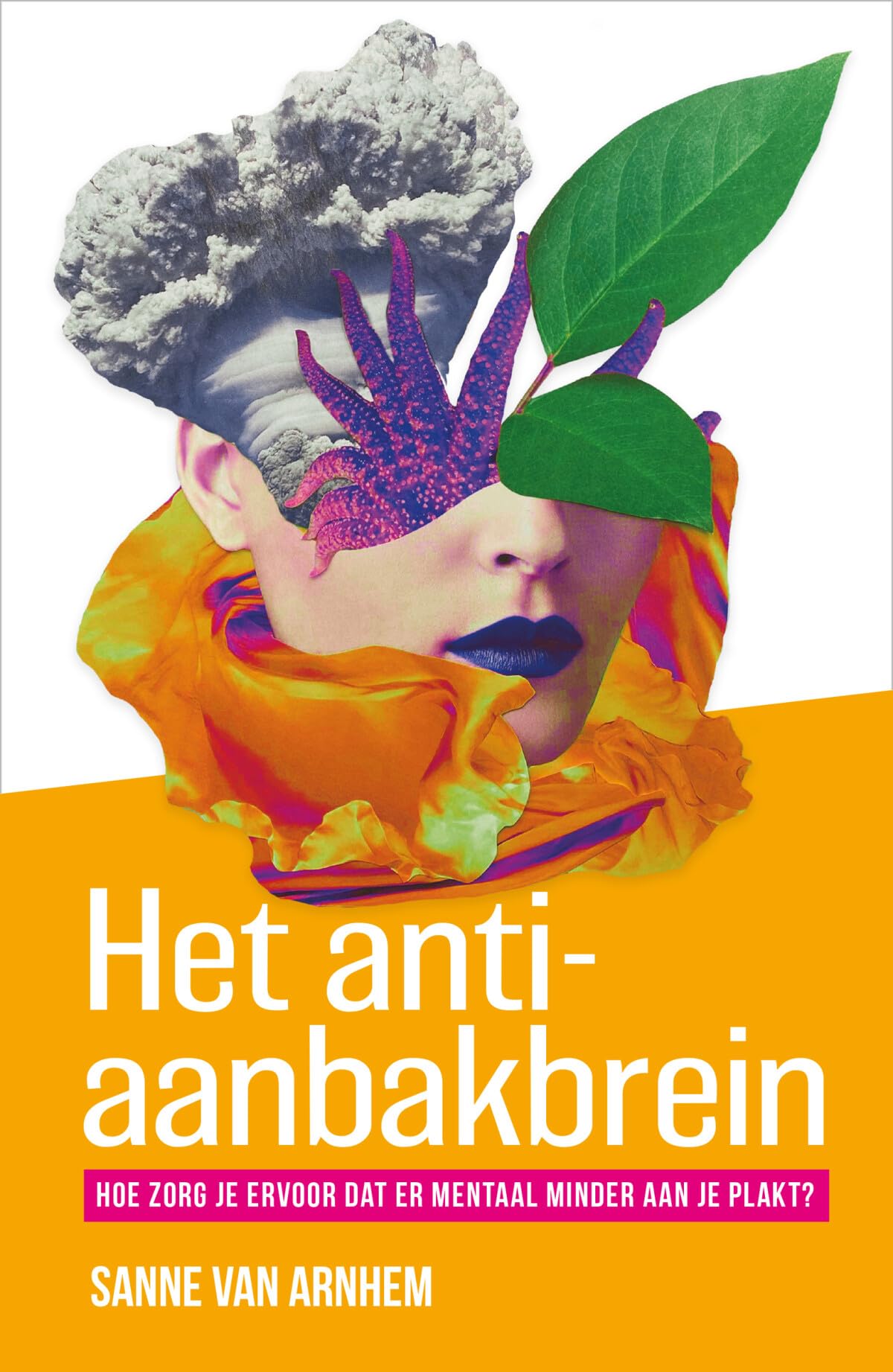 Het anti-aanbakbrein: hoe zorg je ervoor dat er mentaal minder aan je plakt? book