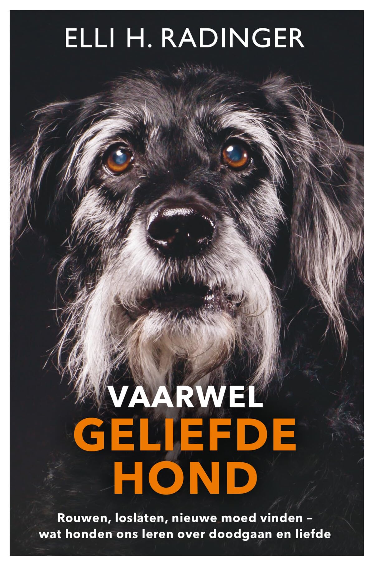 Vaarwel geliefde hond: rouwen, loslaten, nieuwe moed vinden : wat honden ons leren over doodgaan en liefde Mathematics