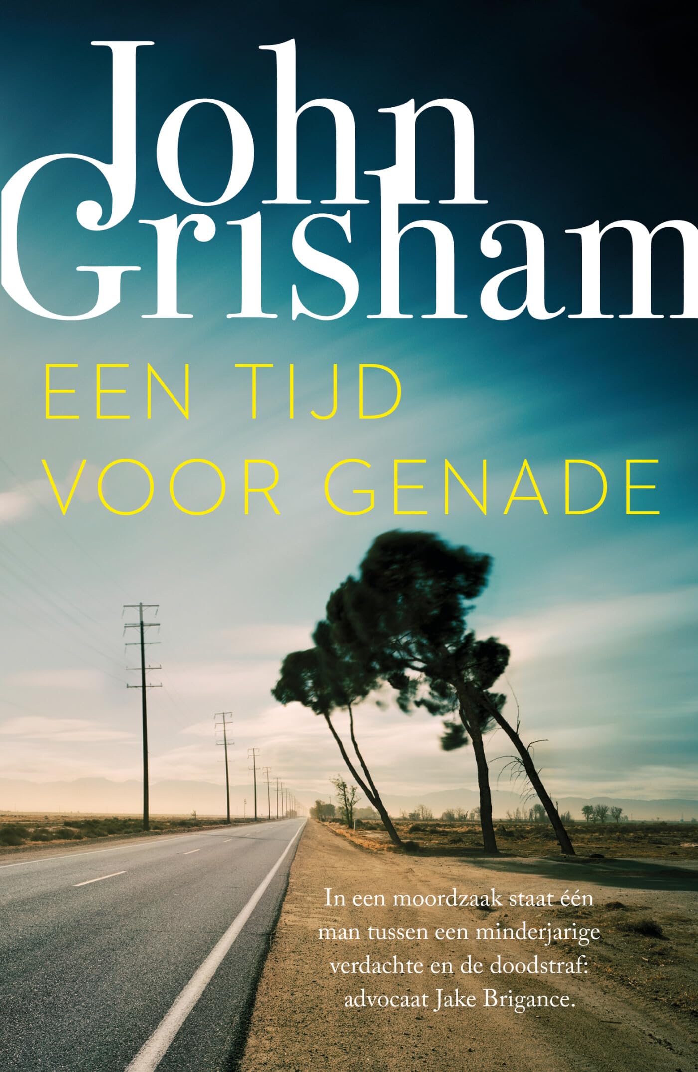 Een tijd voor genade book