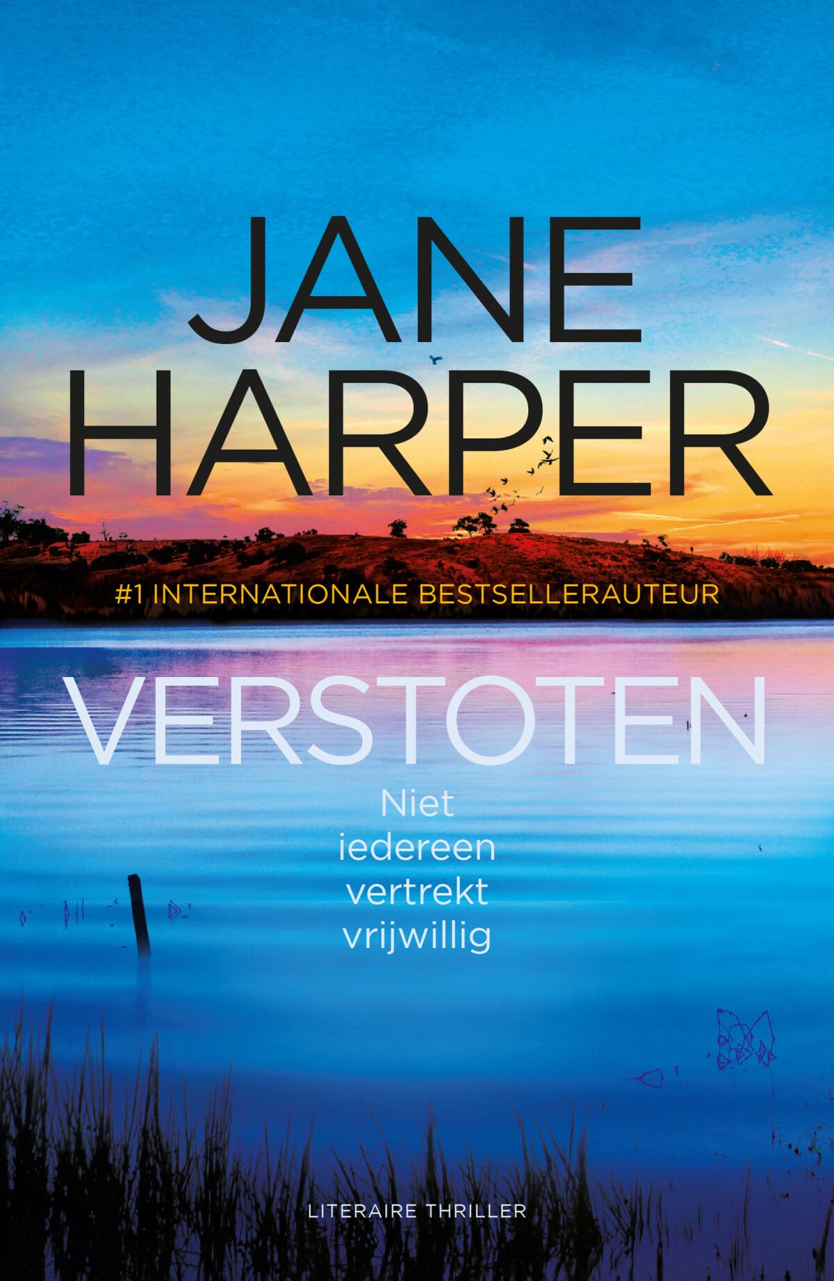 Verstoten (Aaron Falk, 3) Action & Adventure