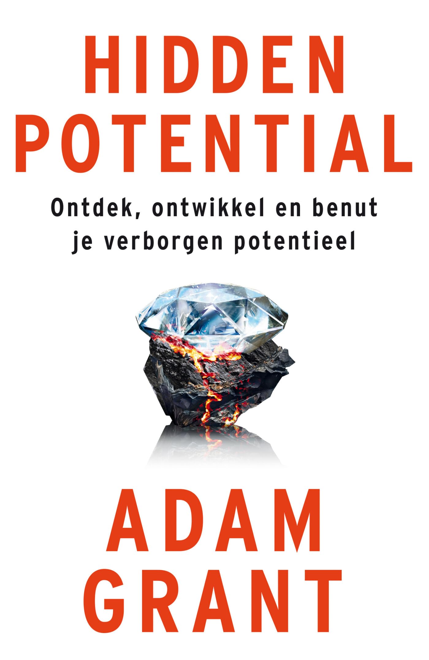 Hidden potential: ontdek, ontwikkel en benut je verborgen potentieel book