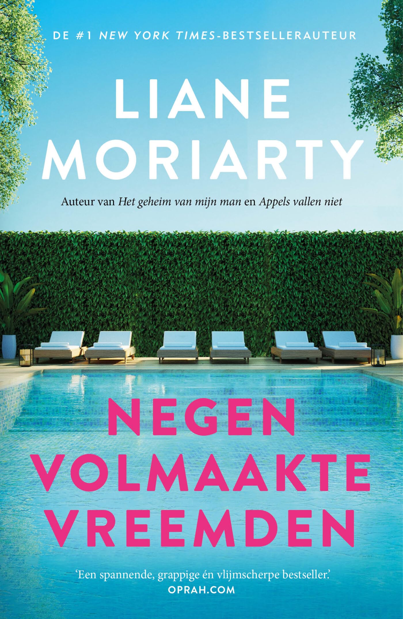 Negen volmaakte vreemden Contemporary literature