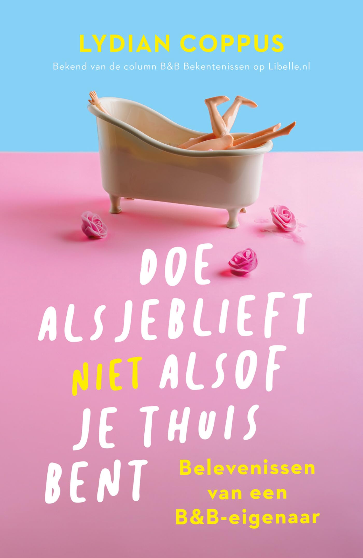 Doe alsjeblieft (niet) alsof je thuis bent: belevenissen van een B&B-eigenaar Essays & Short Stories