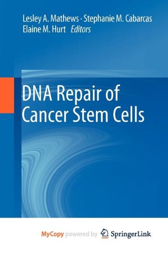 DNA Repair of Cancer Stem Cells Medicine