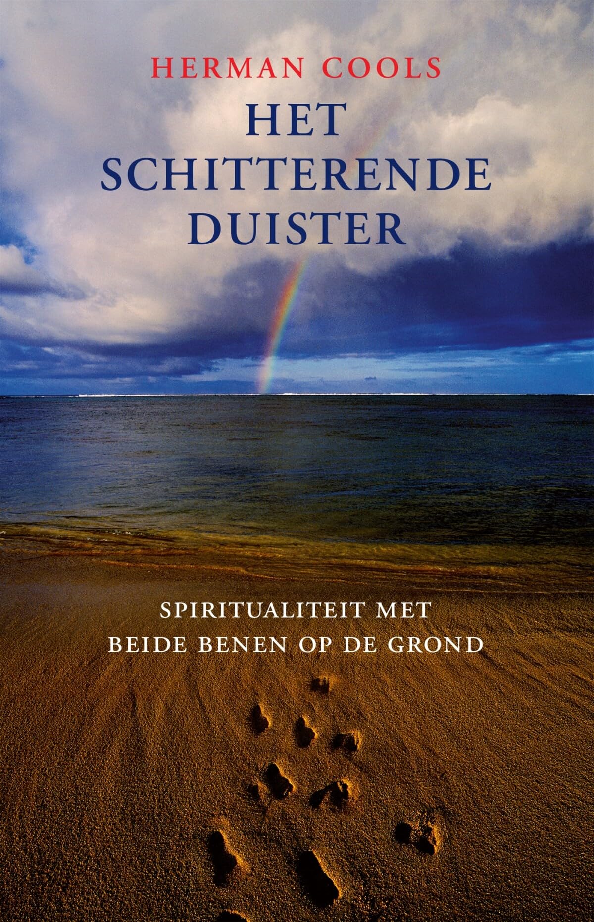 Het schitterende duister: spiritualiteit met beide benen op de grond book