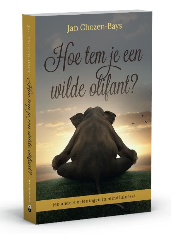 Hoe tem je een wilde olifant?: en andere oefeningen in mindfulness Religion & Esotericism