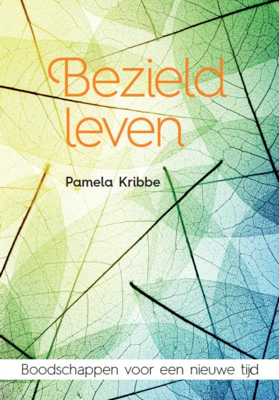 Bezield leven: boodschappen voor een nieuwe tijd book