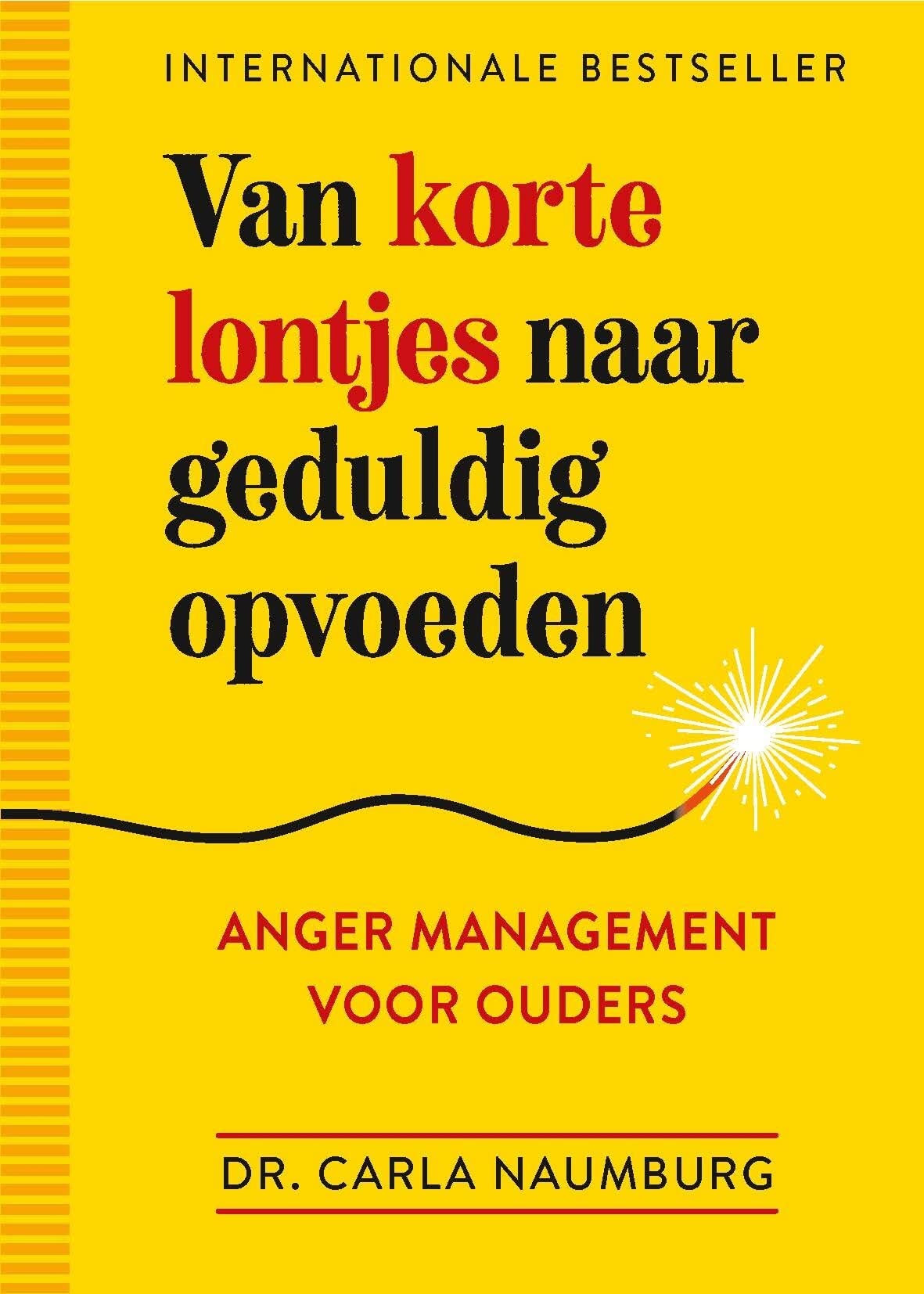 Van korte lontjes naar geduldig opvoeden: anger management voor ouders book