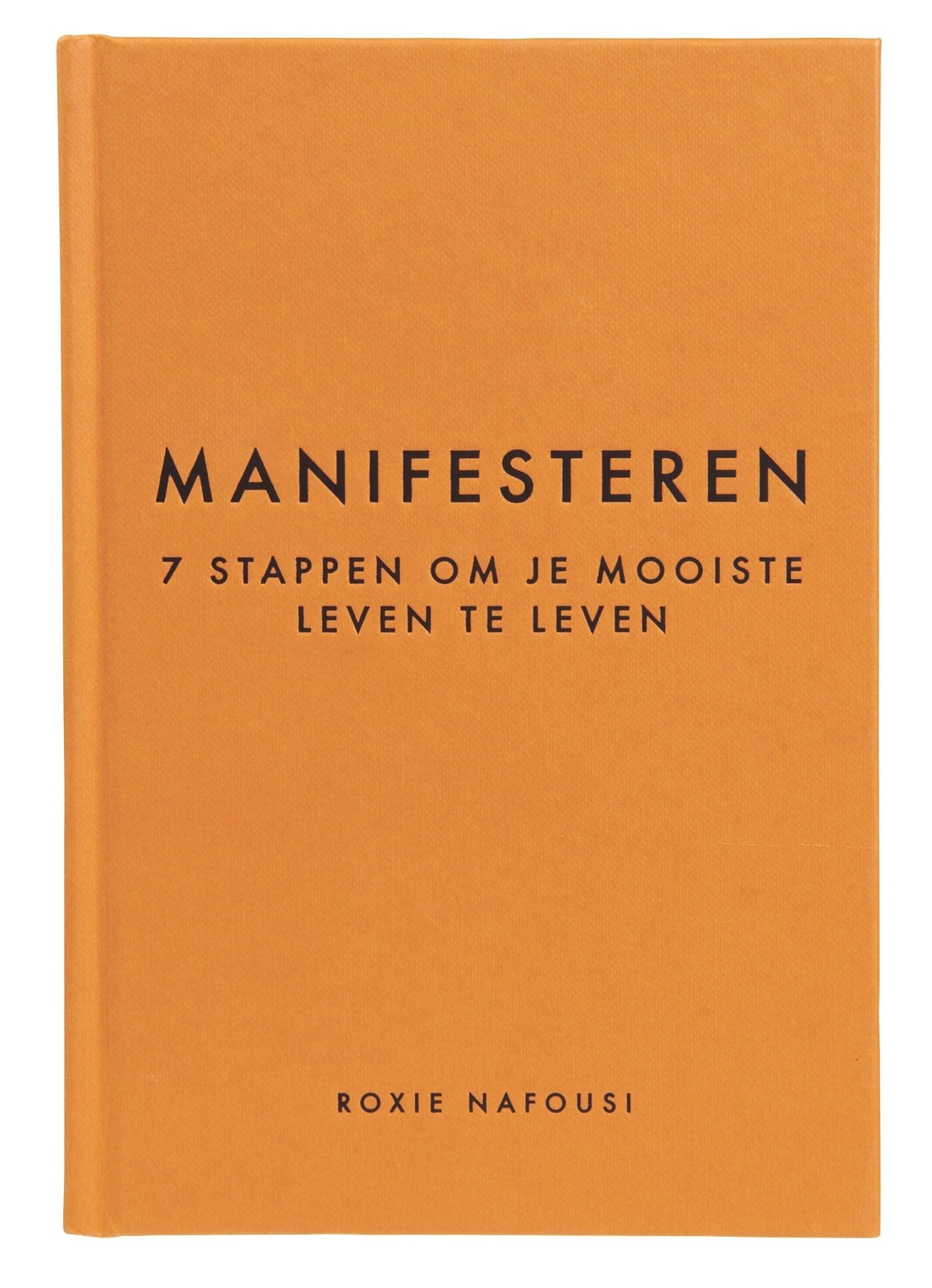 Manifesteren: 7 stappen om je mooiste leven te leven book