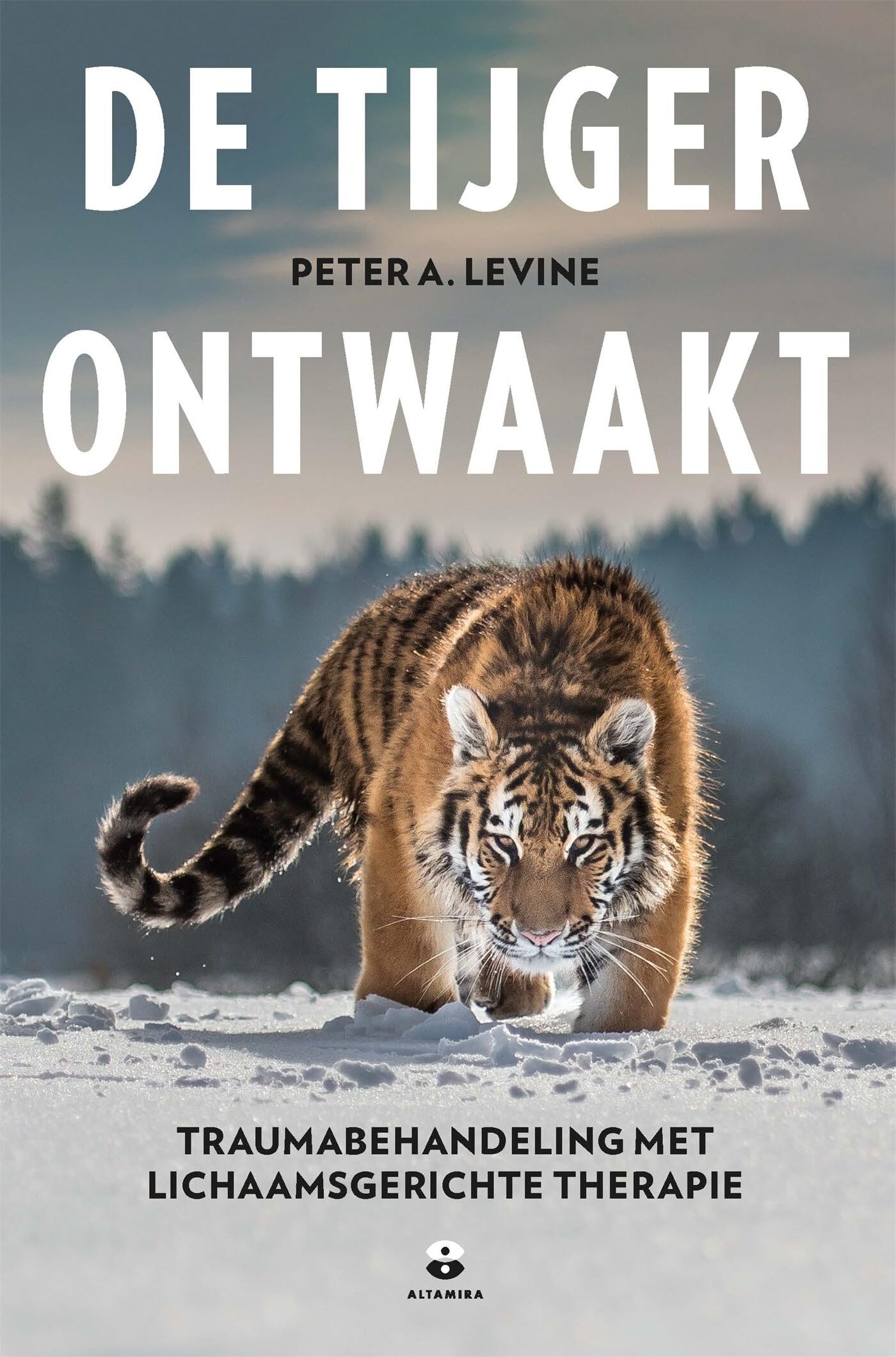 De tijger ontwaakt: traumabehandeling met lichaamsgerichte therapie book