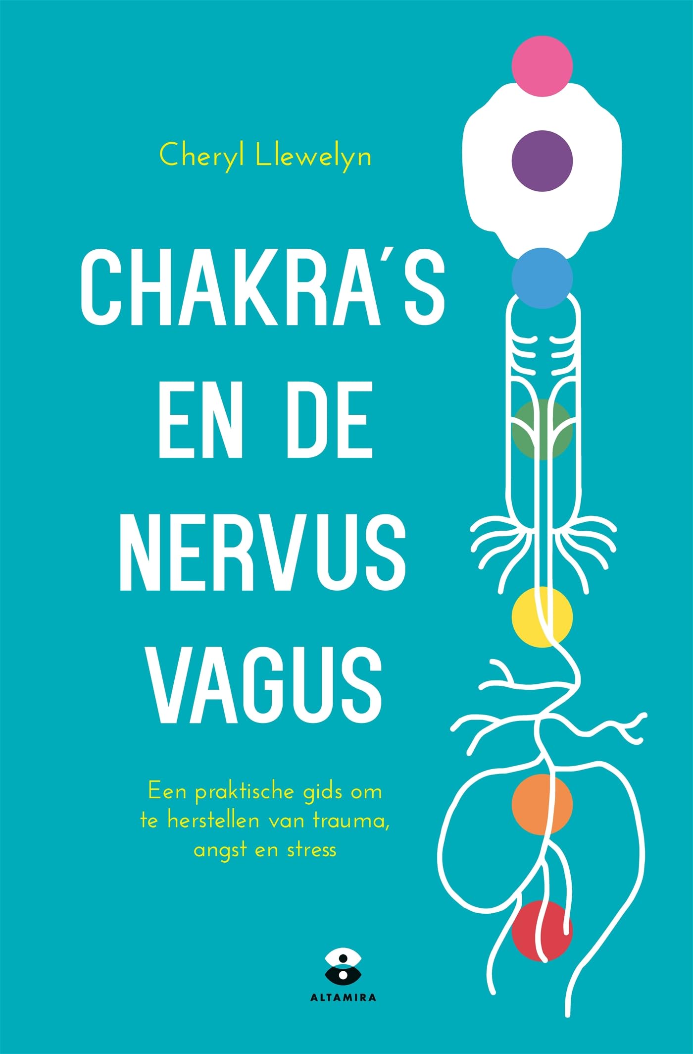 Chakra's en de nervus vagus: een praktische gids om te herstellen van trauma, angst en stress book