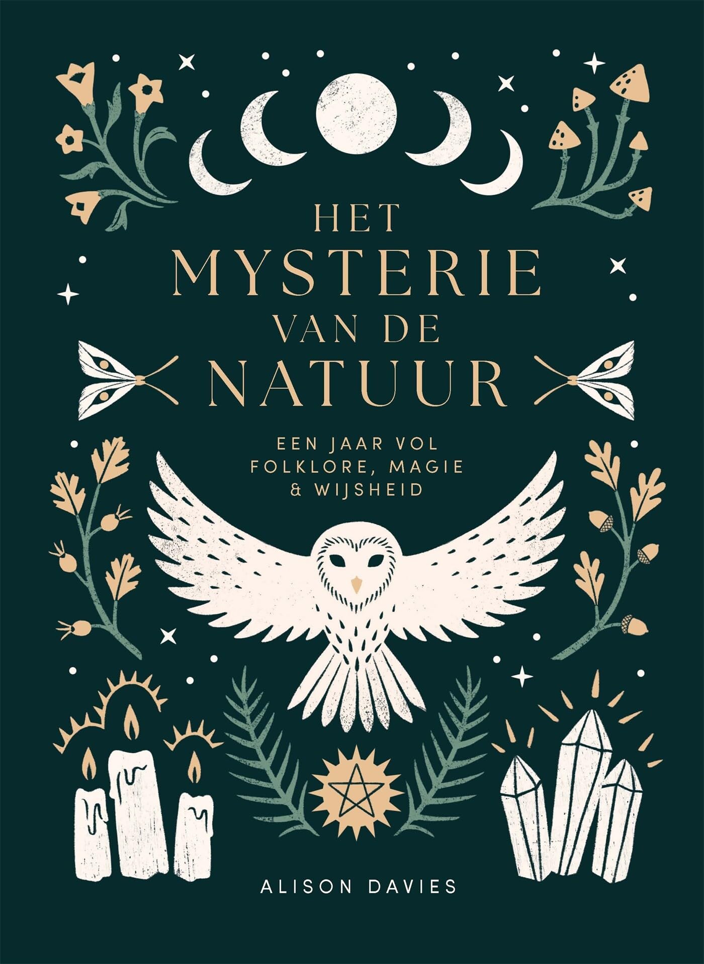 Het mysterie van de natuur: een jaar vol folklore, magie en wijsheid book